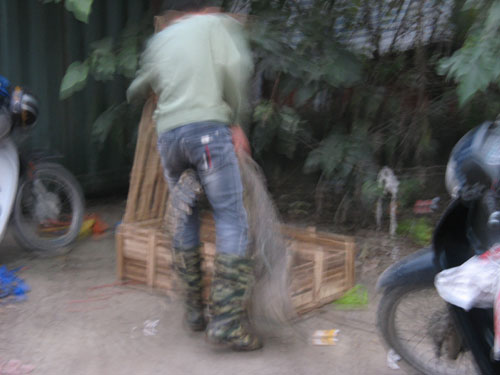 Xẻ[-]thịt[-]cá[-]sấu[-]bán[-]trên[-]vỉa[-]hè[-]9